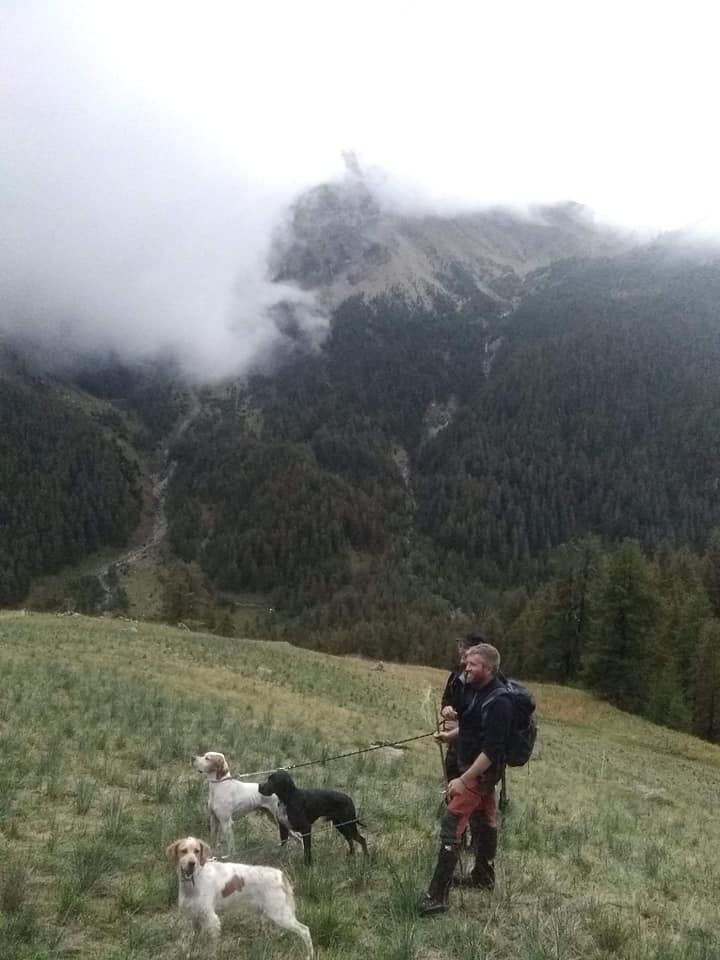 Du Bois D'Automne - Concours de haute montagne.